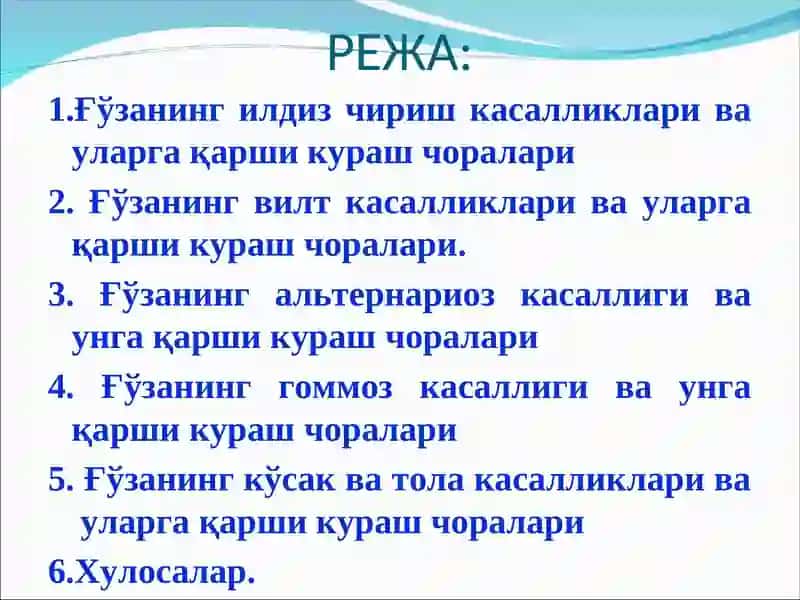 Ғўзакасалликлари ва уларгақаршикураш чоралари 2