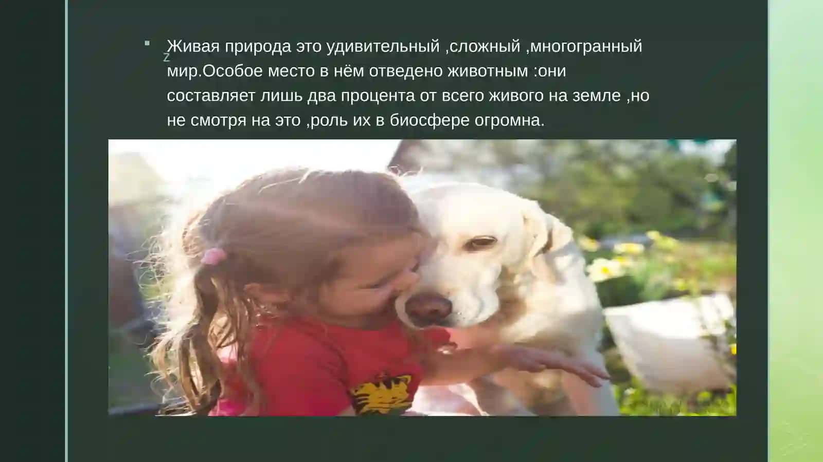 Воспитание гуманного отношения к животным у детей дошкольного возраста 2