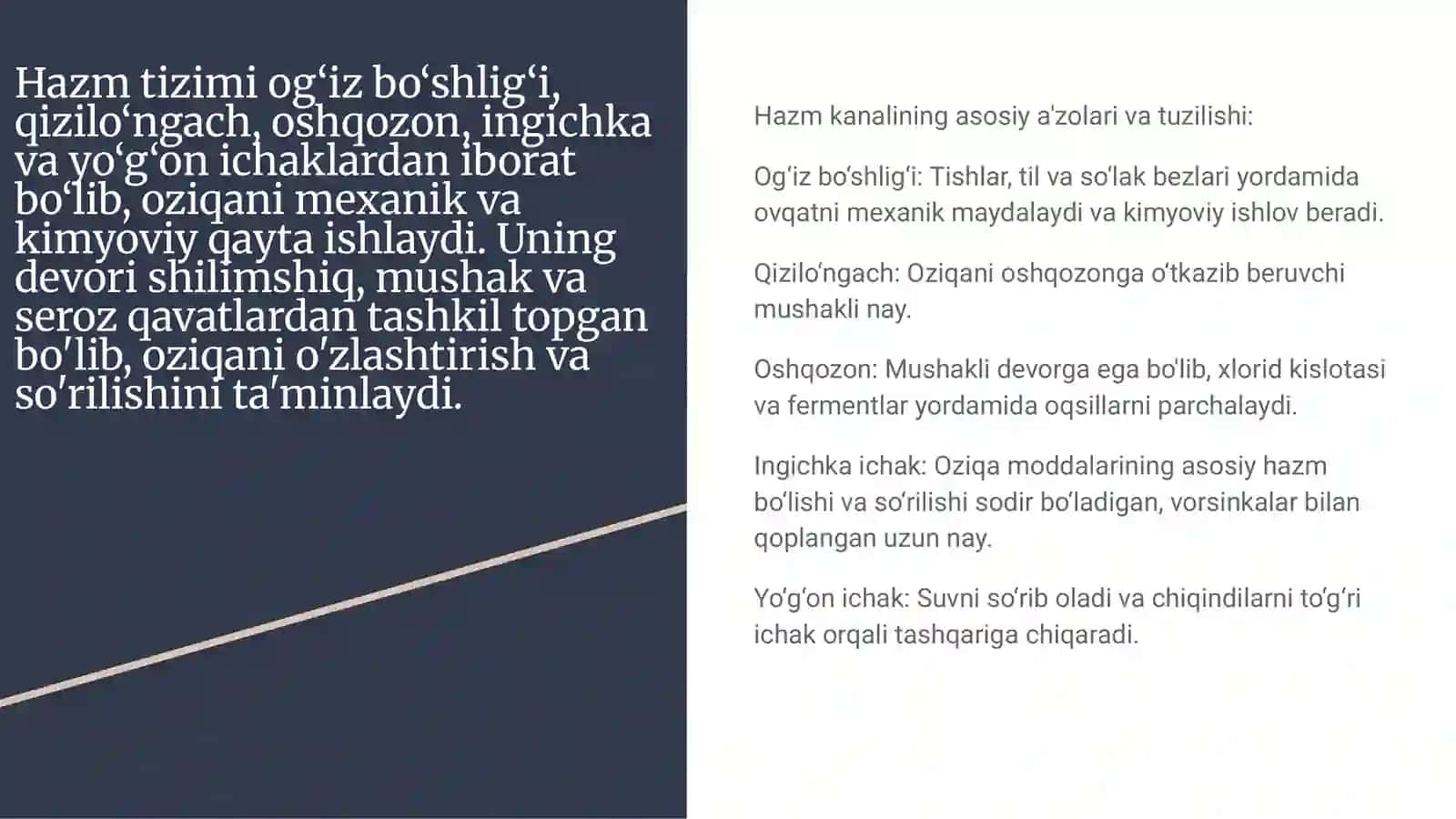 Kop tarmoqli tibbiyot texnikumi 2