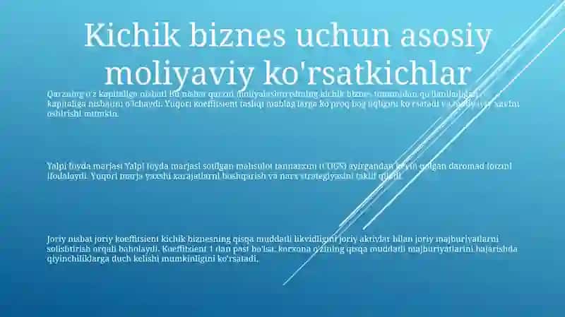 Yevropa Mamlakatlarida Kichik Biznes Va Tadbirkorlikning Moliyaviy Faoliyati 2