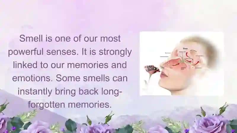Smell and memory. Pptx 2