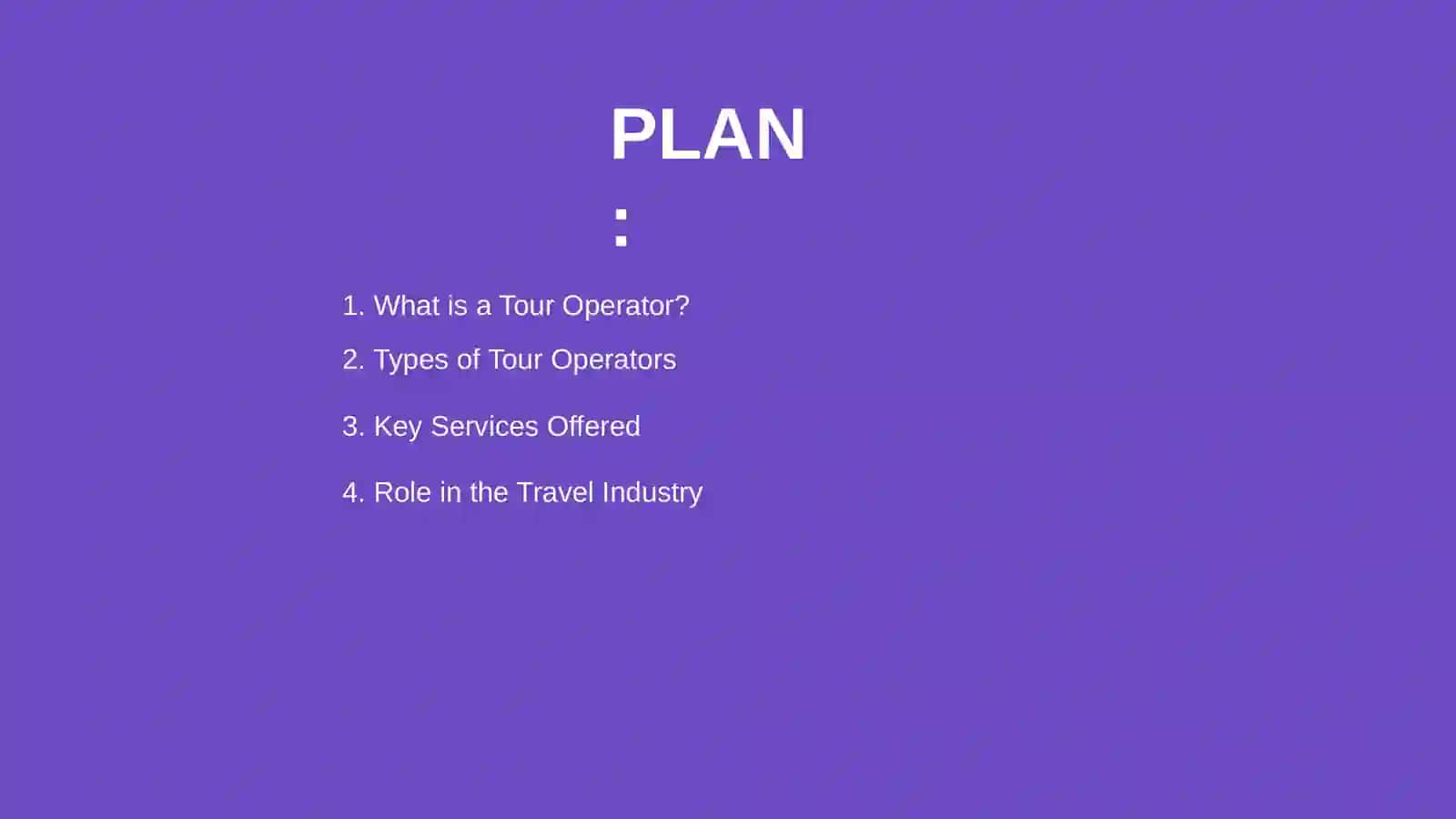 Tour operator 2