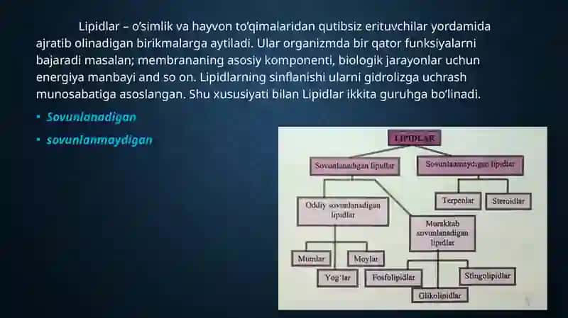 Lipidlar ularning tuzulishi va funksiyasi. 2