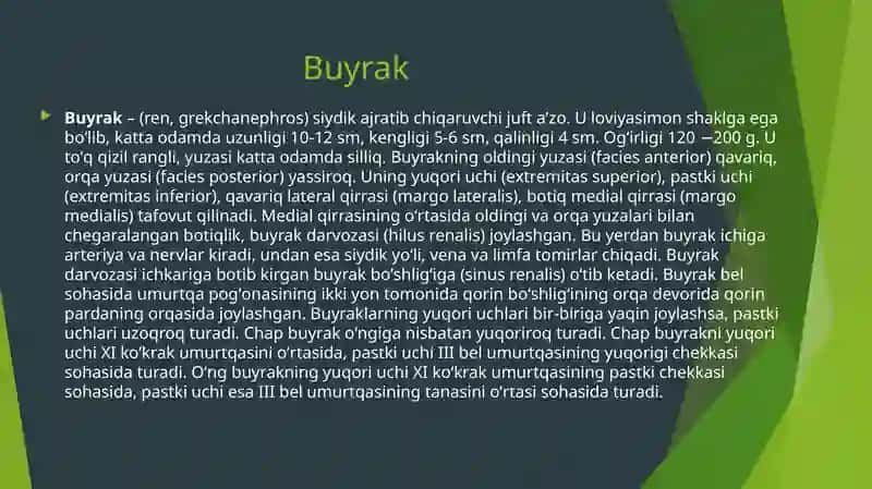 Buyrak sanchig’i. Klinikasi, diagnostikasi, UASH taktikasi 2