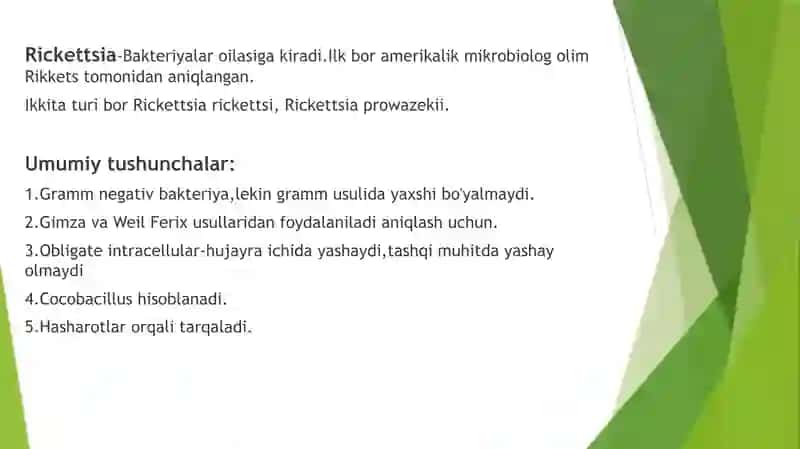 Rikketsiozlar 2
