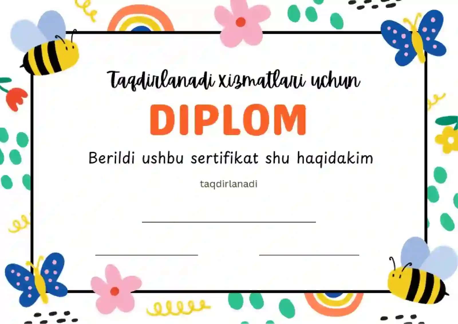 DIPLOM 2