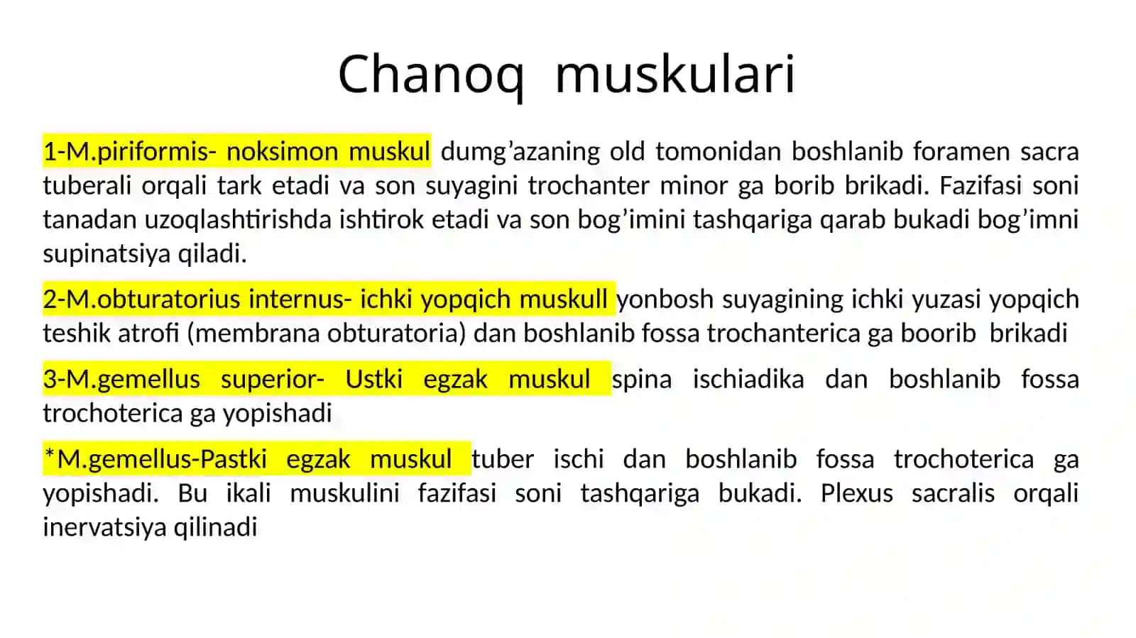 Chanoqmuskulari 2