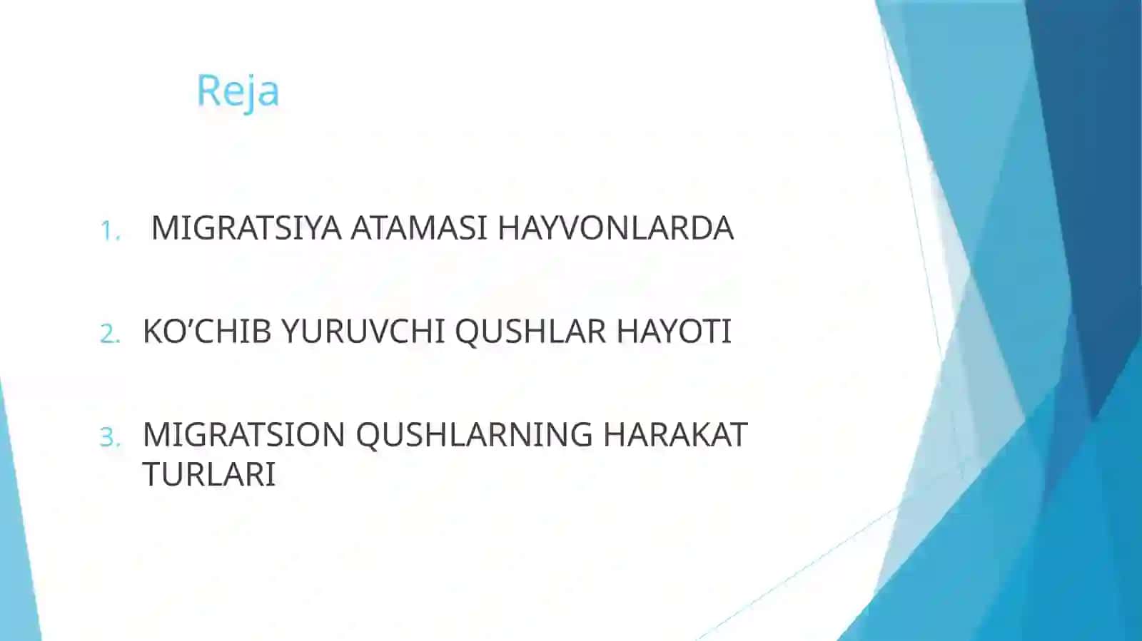 Ko‘chib yuruvchi qushlarning asosiy turlari 2