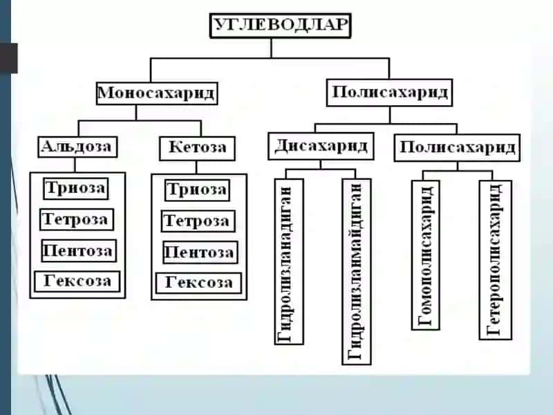 Углеводлар 2