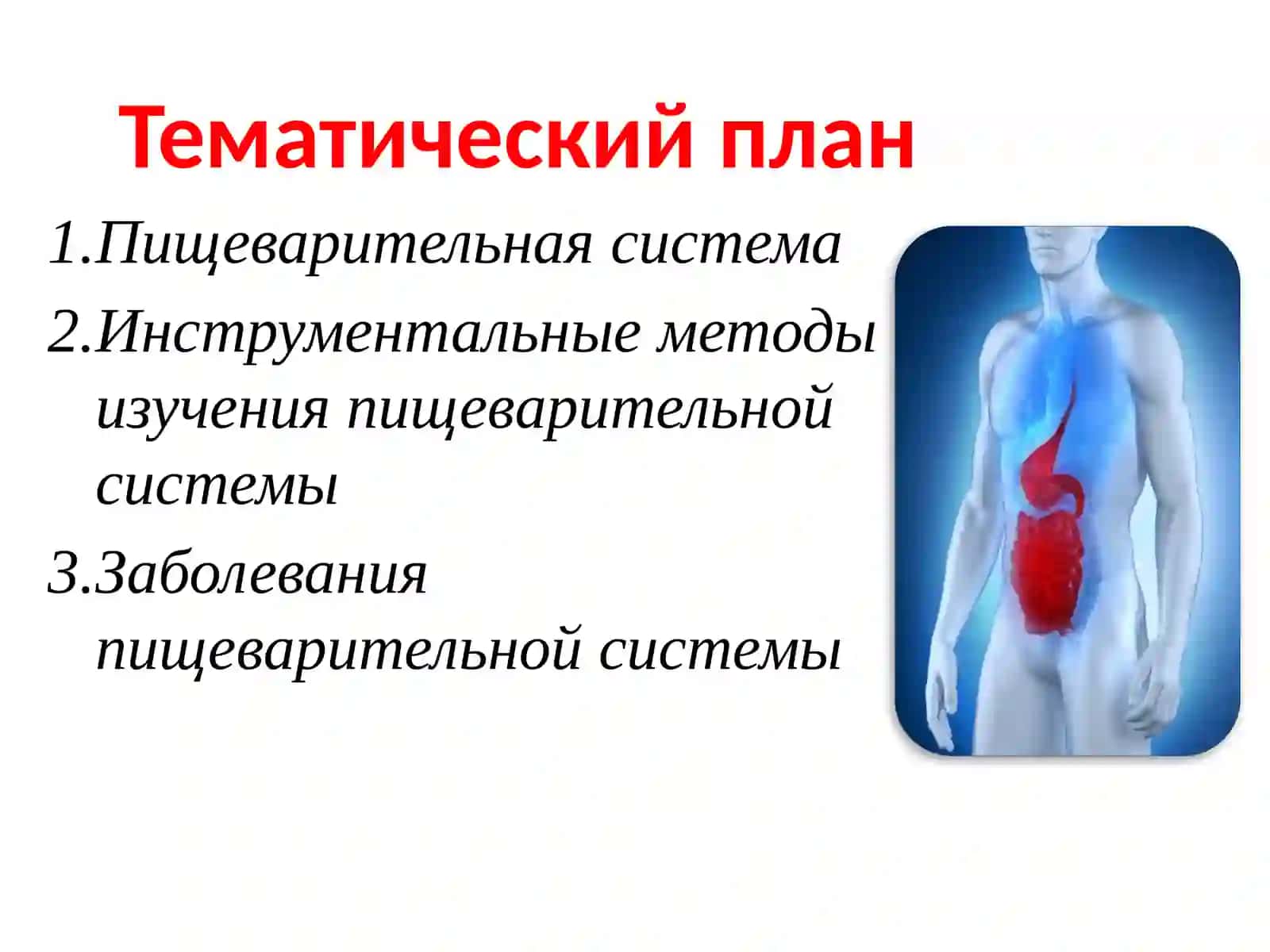 Заболевания органов пищеварения и их профилактика 2