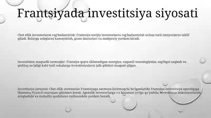 Fransiyada Davlatning Investitsion Faoliyati 2
