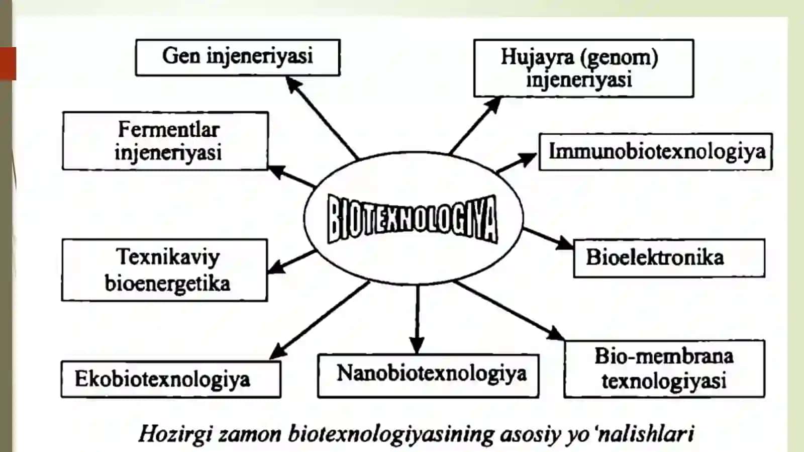Biologik Spesifik Asoslari 2