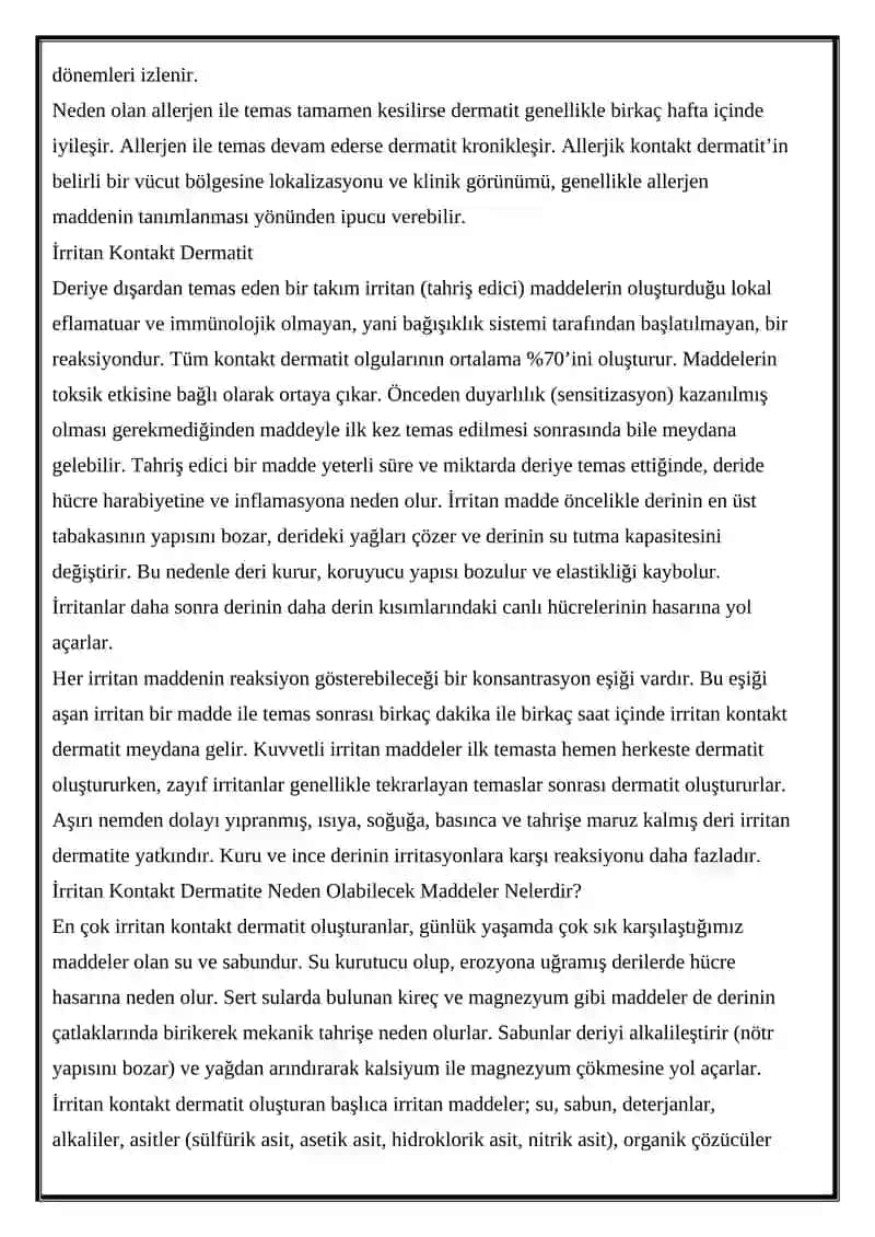 EGZEMALAR 2