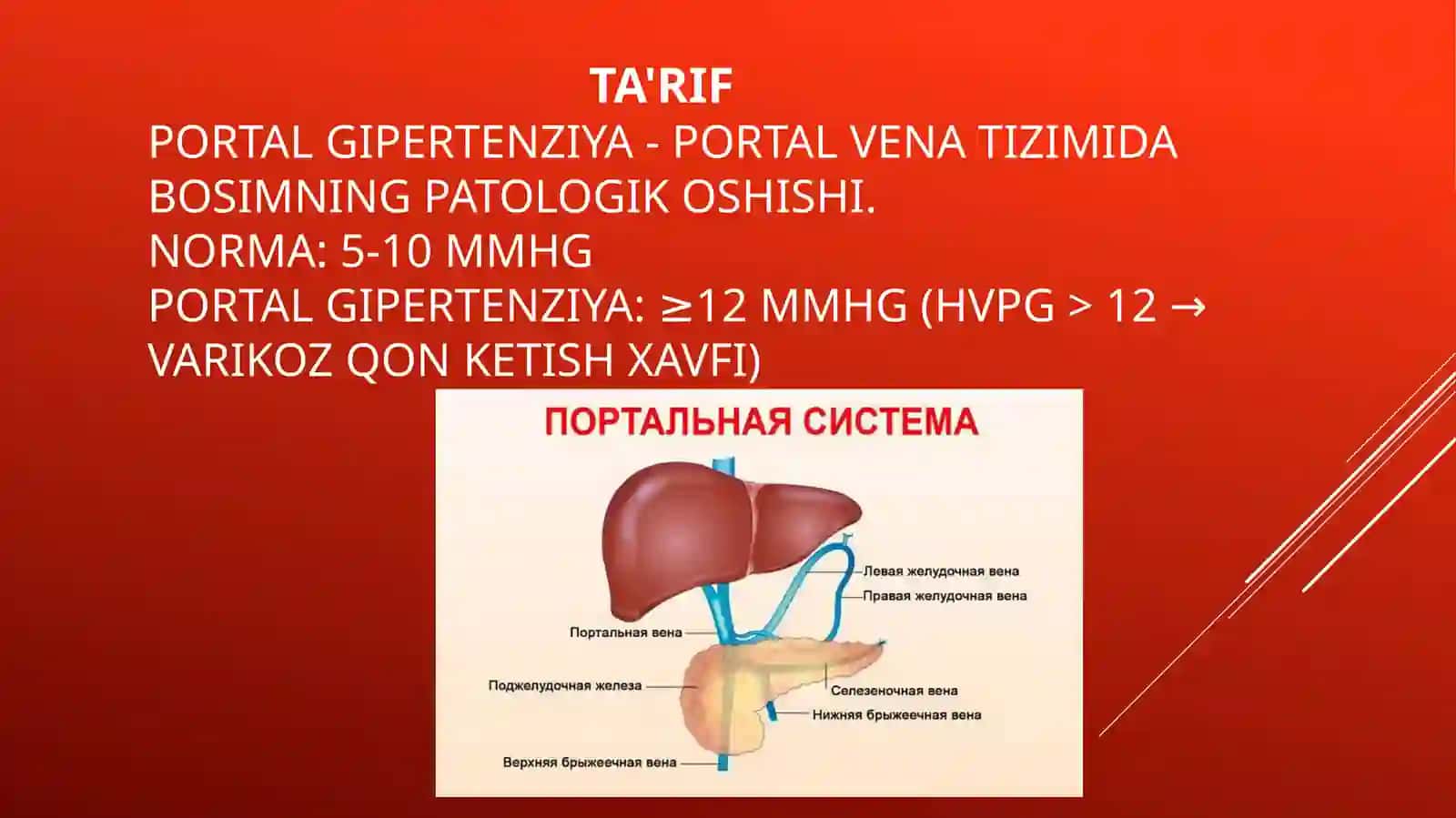 Portal Gipertenziya 2
