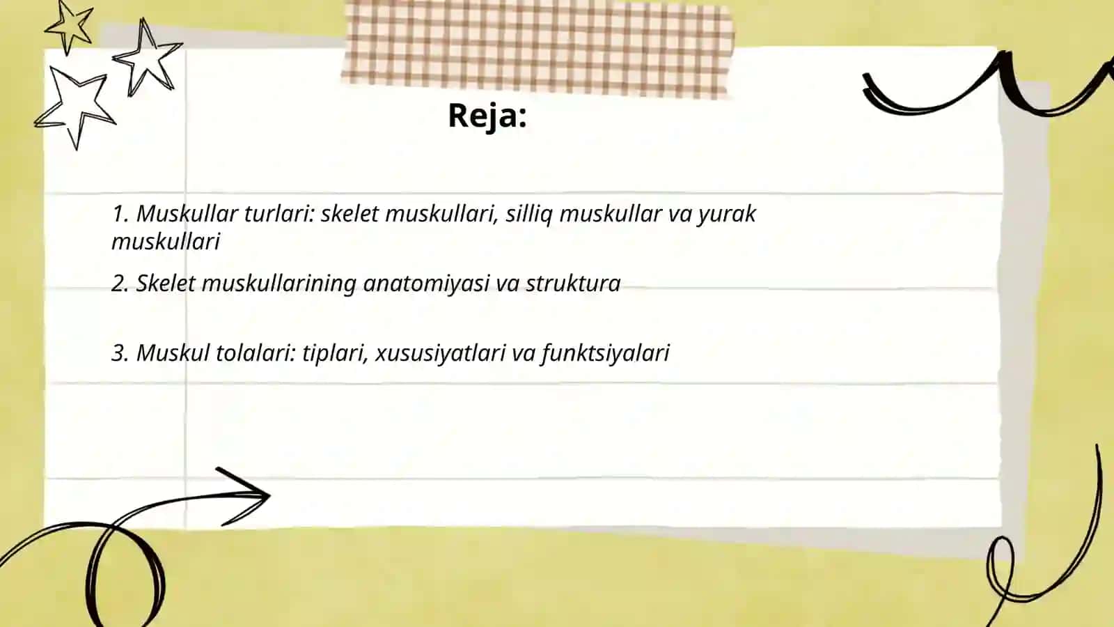 Muskullar 2