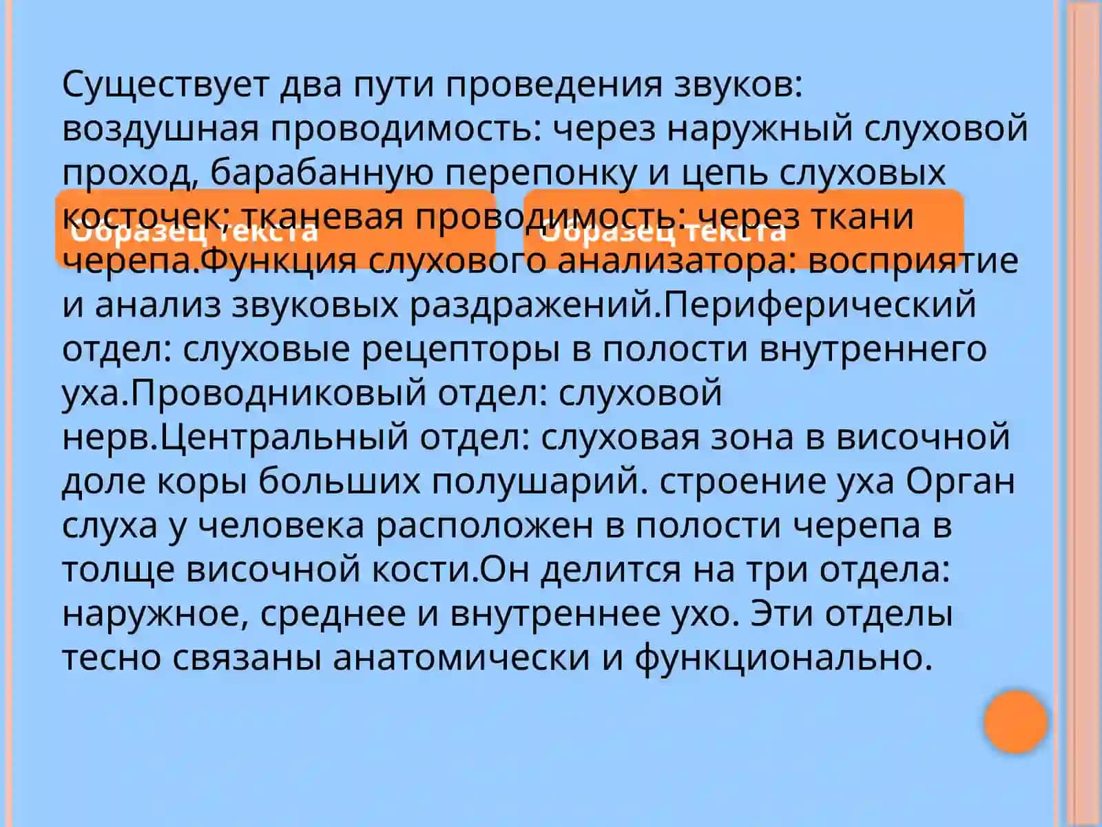 Строение и работа слухового анализатора человека 2