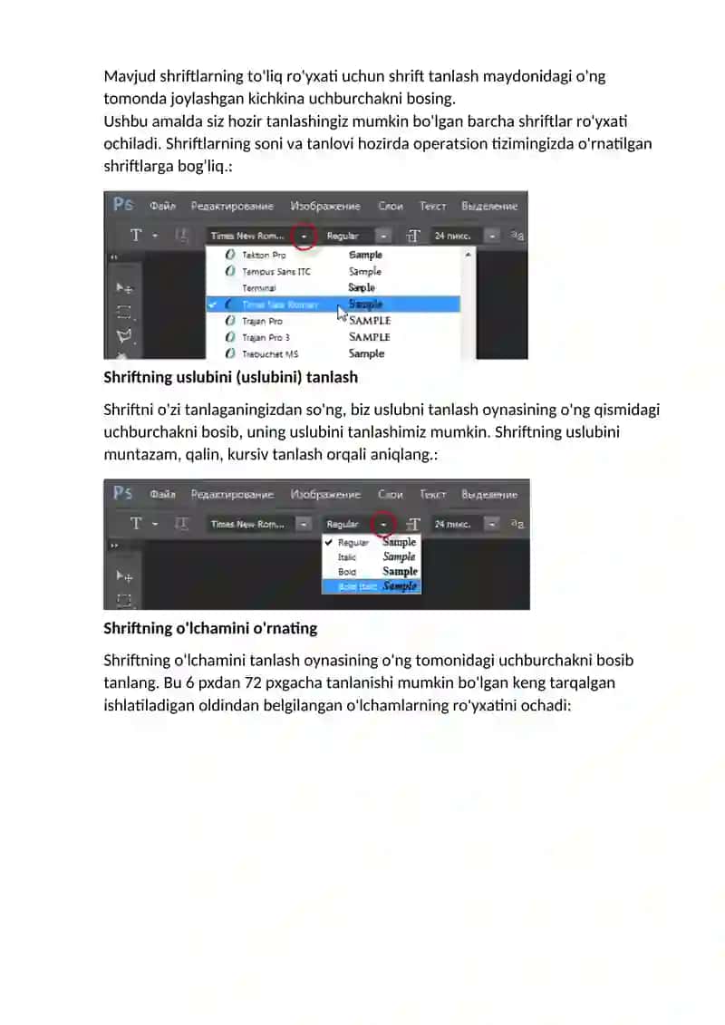Adobe Photoshop 2