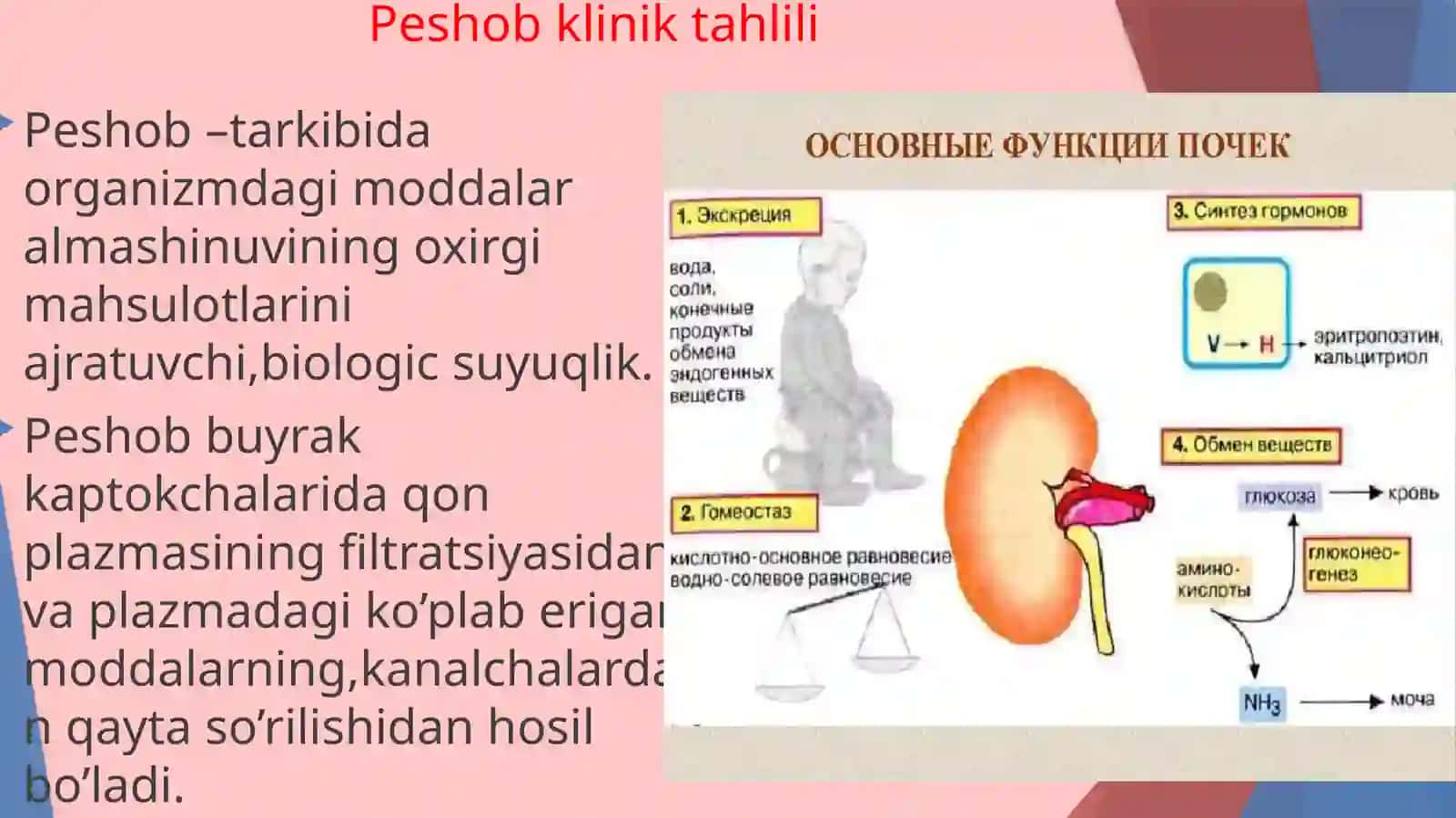 Peshob klinik tahlili 2