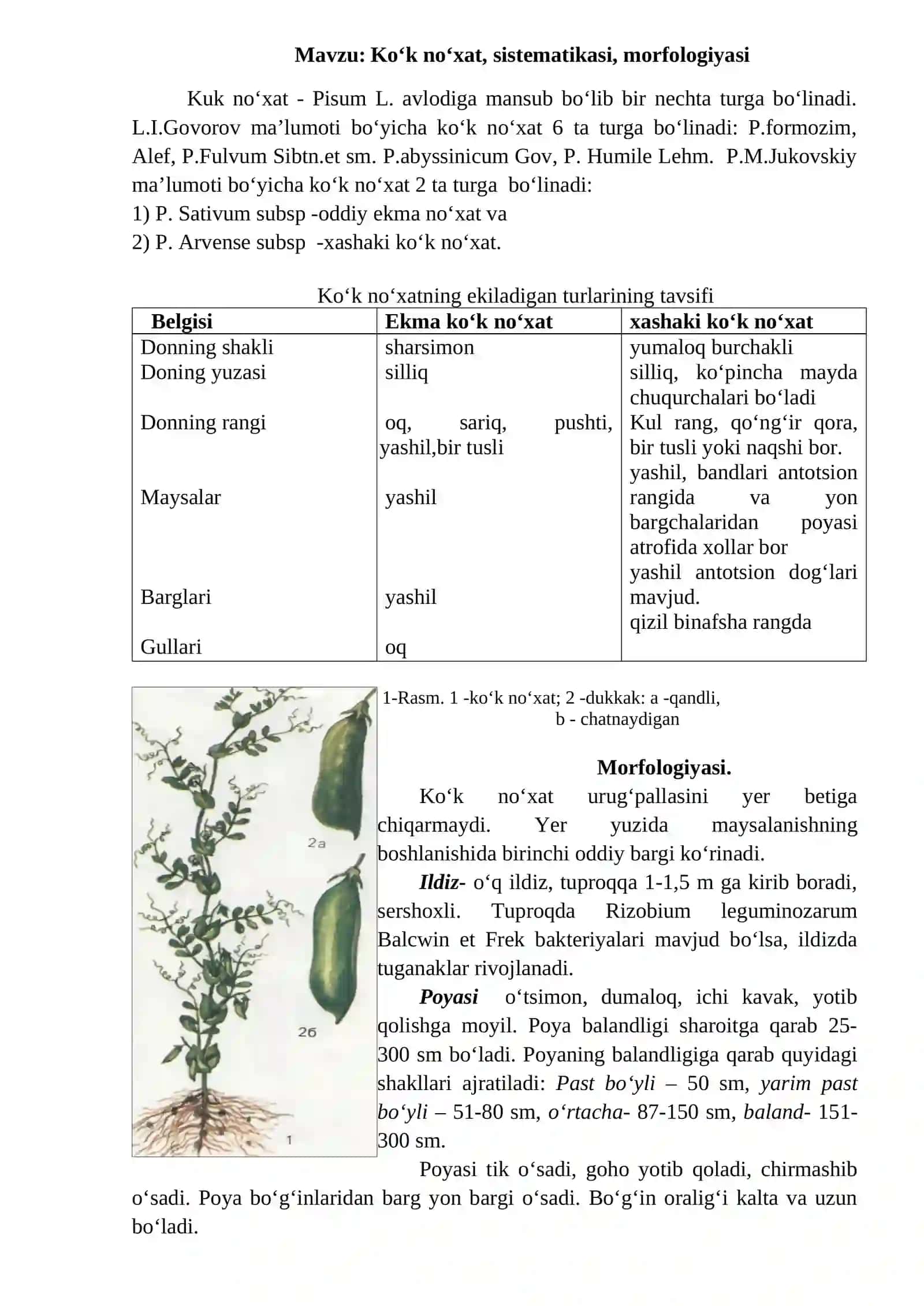 Ko‘k no‘xat, sistematikasi, morfologiyasi 2