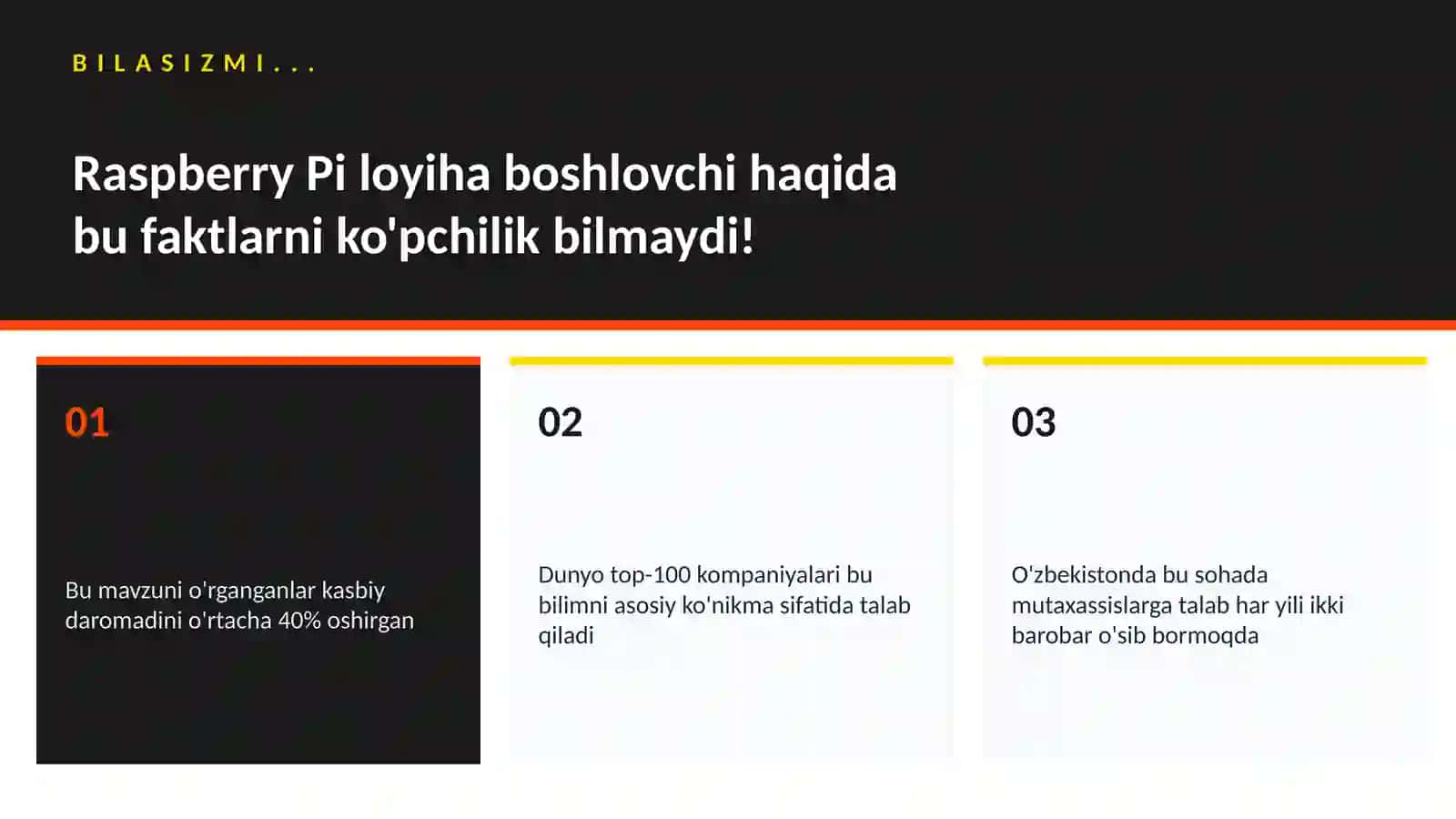 Raspberry Pi loyiha boshlovchi 2