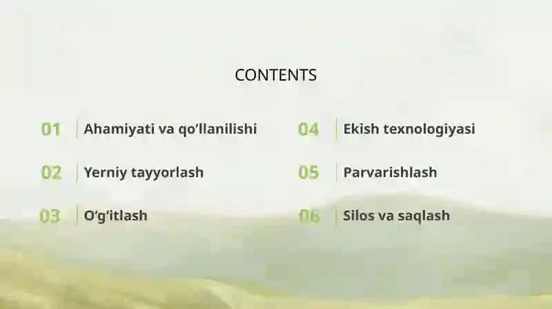 Makkajoʻxorini yem hashak uchun yetishtirish 2
