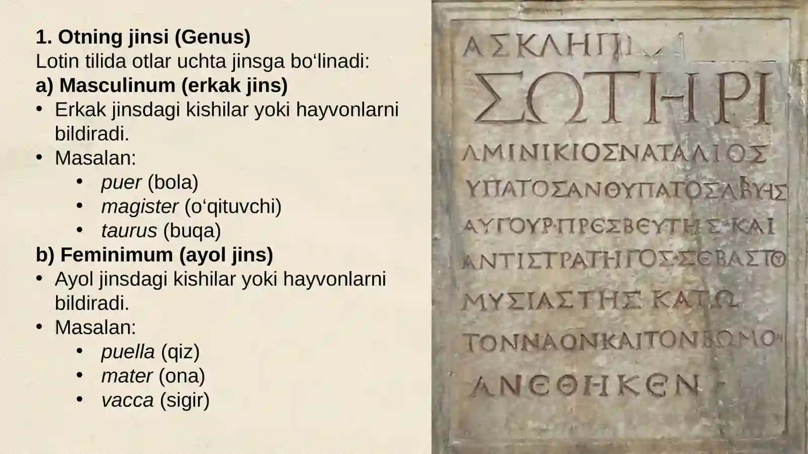 otning grammatik kategoriyalari 2