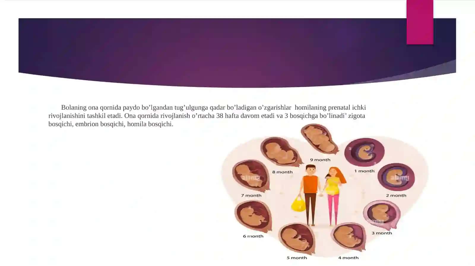 Perinatal psixologiyaning asosiy muammolari 2