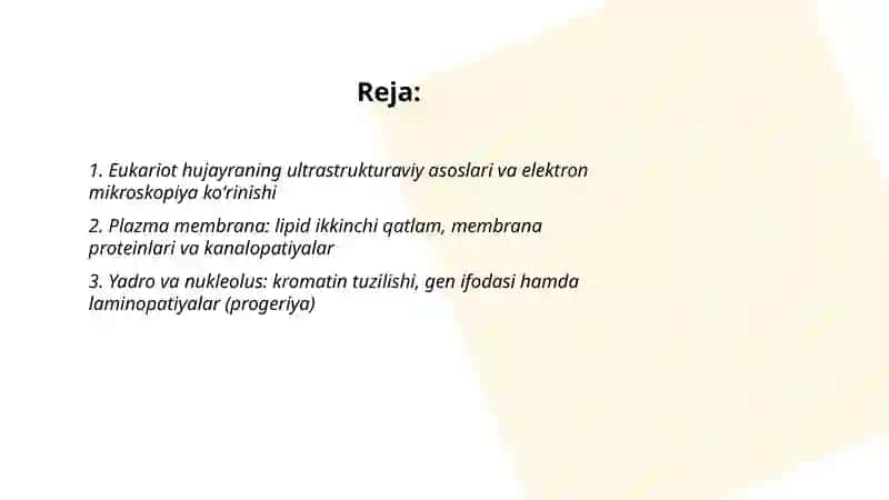 Eukariot hujayralarning ultrastrukturaviy tuzilishi. Hujayra umumiy organoidlari. Ushbu organellalarning patologiyasidan kelib chiqadigan kasalliklar 2