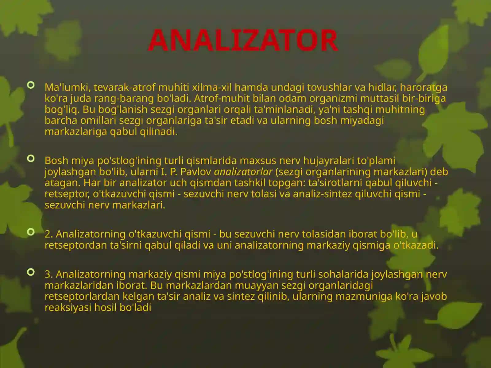 ANALIZATOR 2