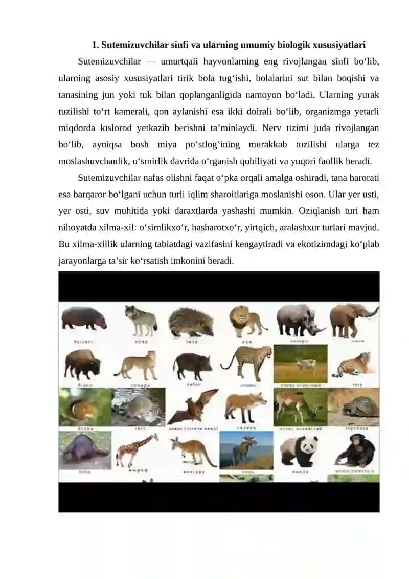 Sutemizuvchilar sinfi vakillarining biozararlanishdagi ahmiyati 2