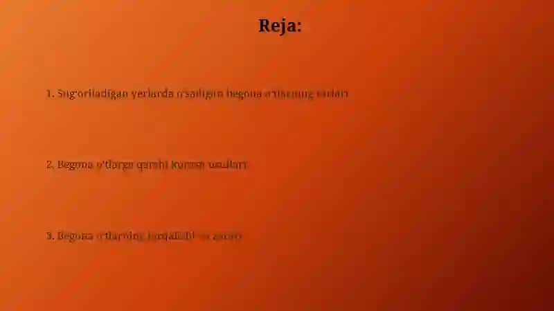 Sug'oriladigan yerlarda o'sadigan begona o'tlar 2