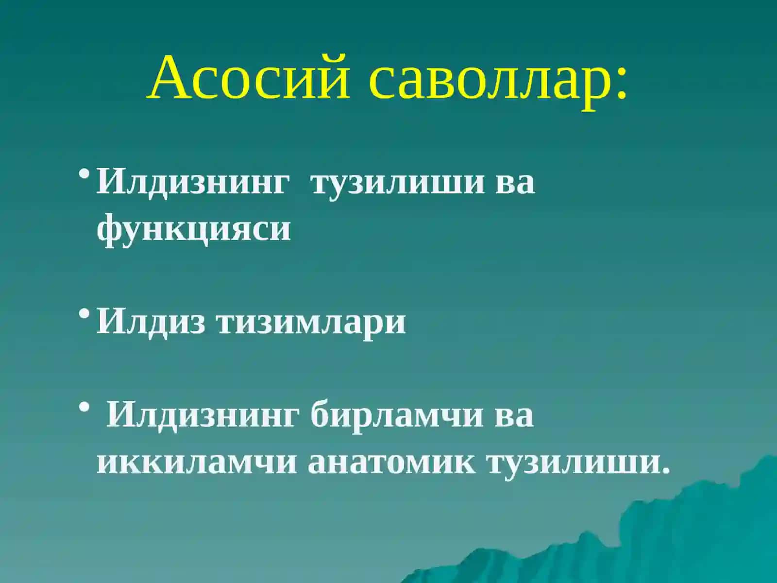 Илдиз ва илдизлар тизими 2