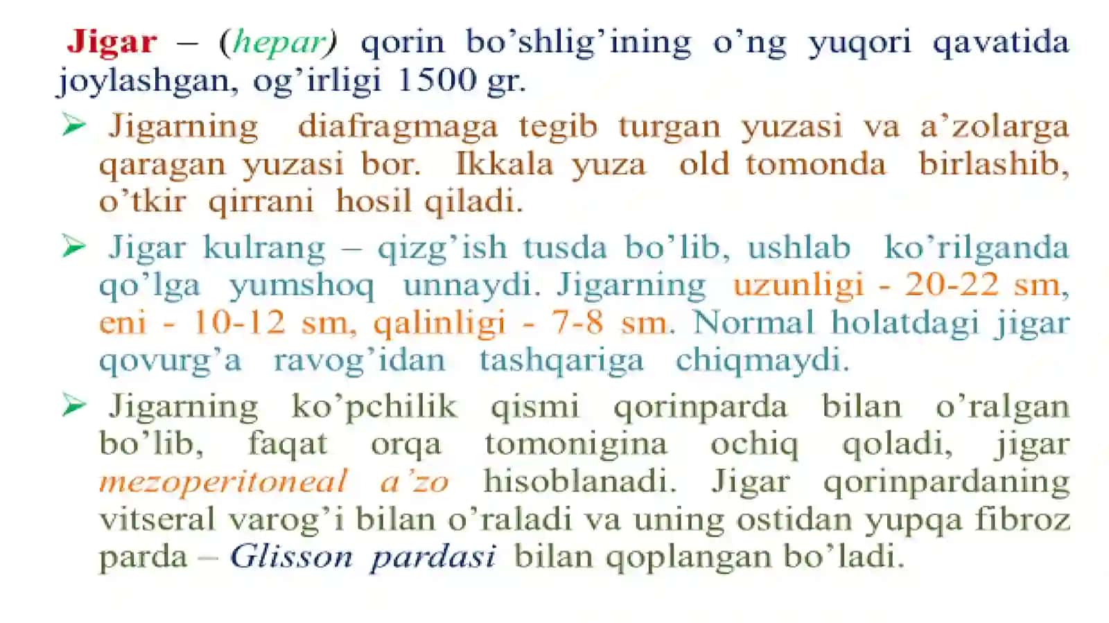 Ovqat hazm qilish tizimi. Jigar anatomiyasi 2
