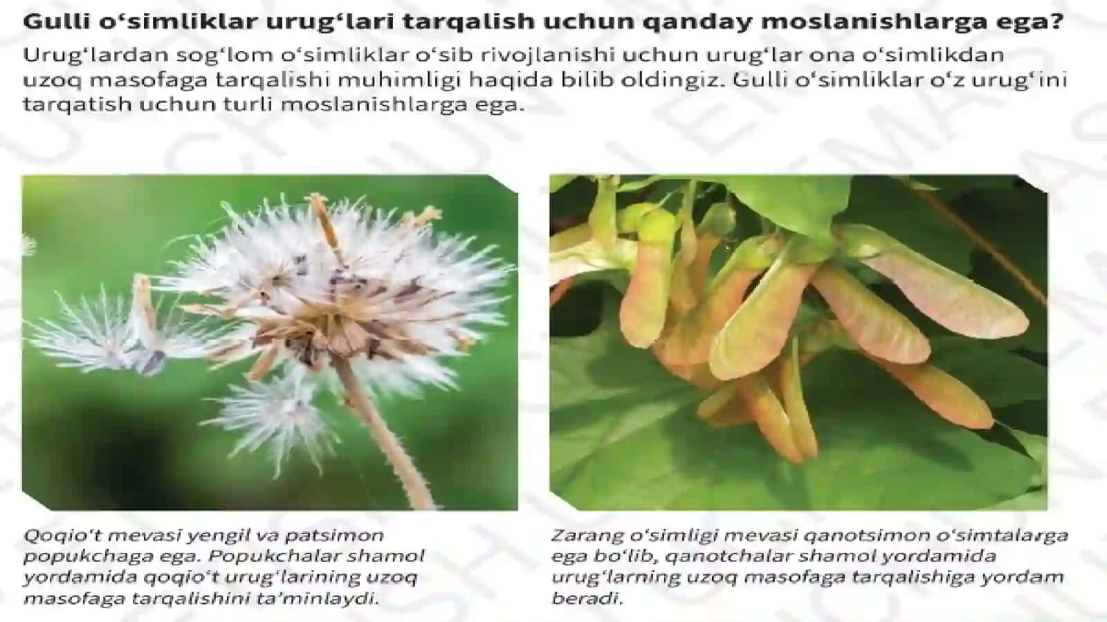 Topshiriqlar 2