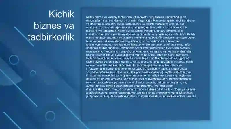 Kichik biznes va tadbirkorlik 2