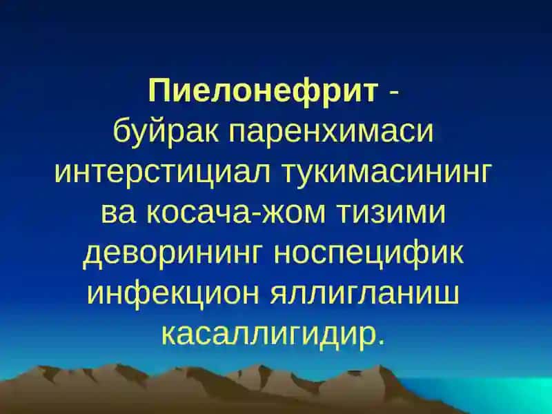 Пиелонефритлар 2
