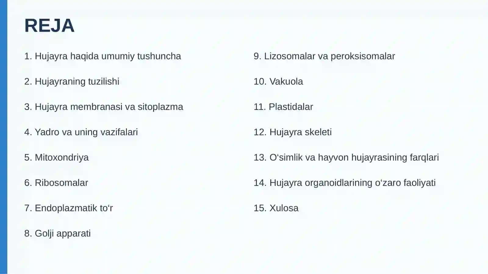 HUJAYRA VA UNING ORGANOIDLARI 2