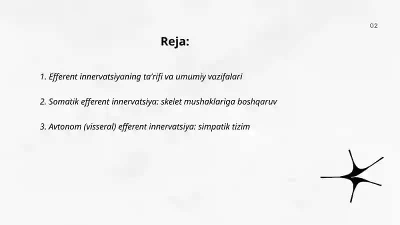 Efferent innervatsiya 2
