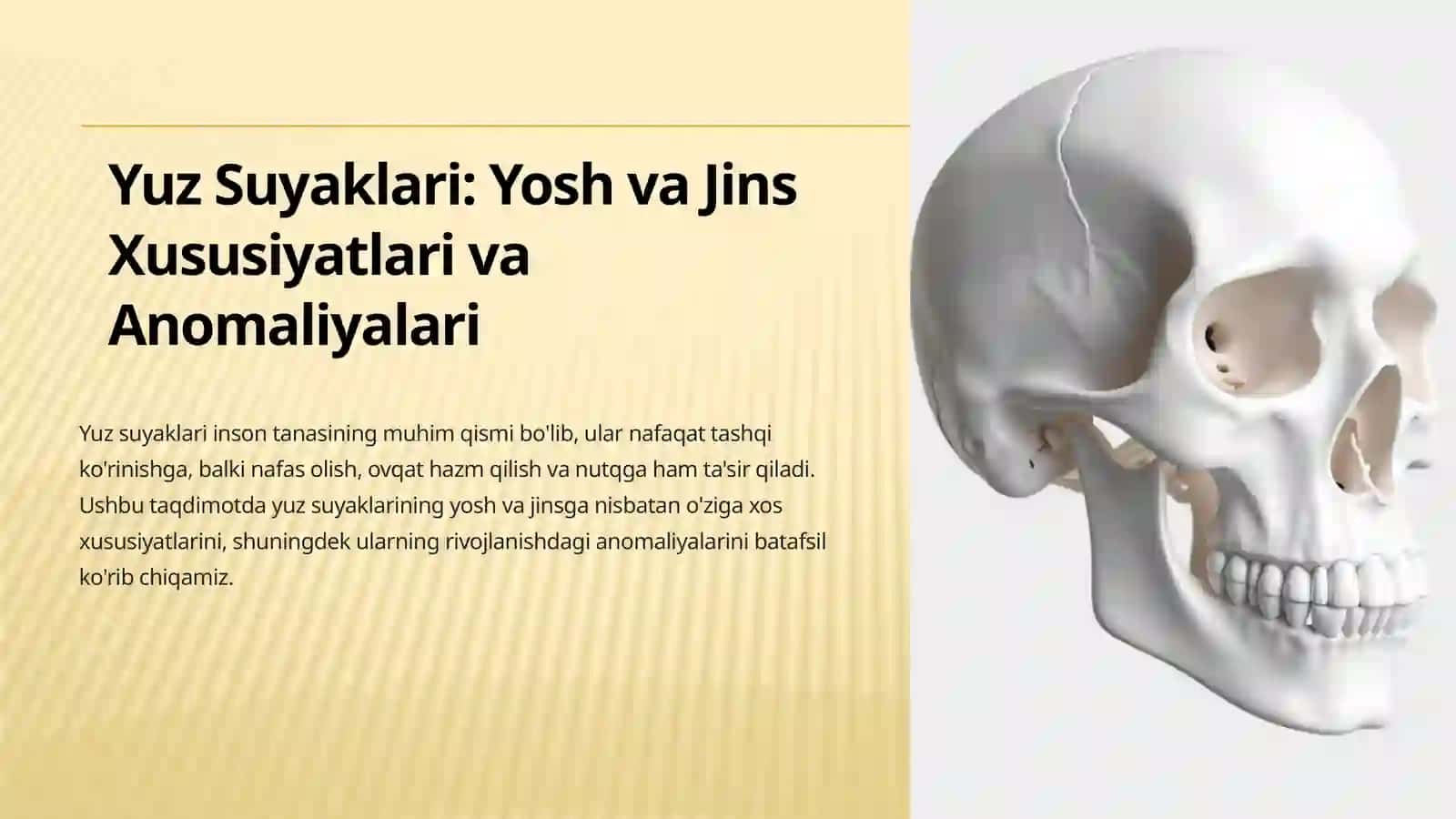 Yuz Suyaklari: Yosh va Jins Xususiyatlari va Anomaliyalari 2