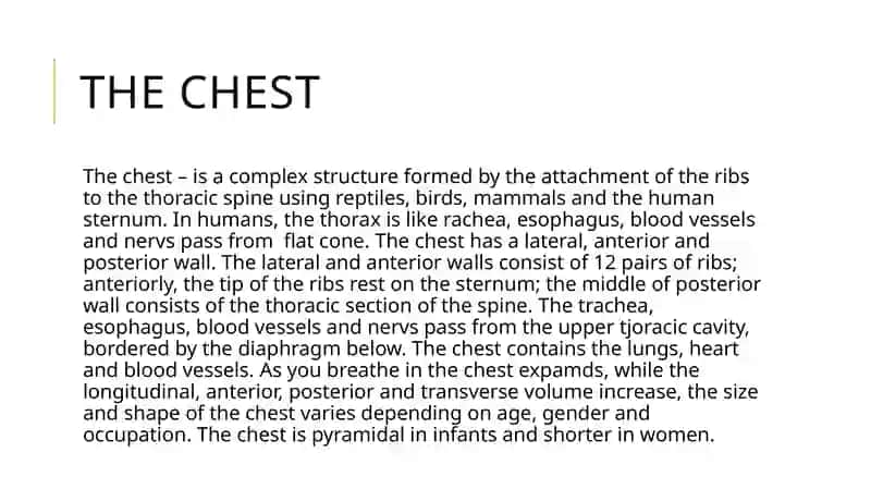 The chest 2