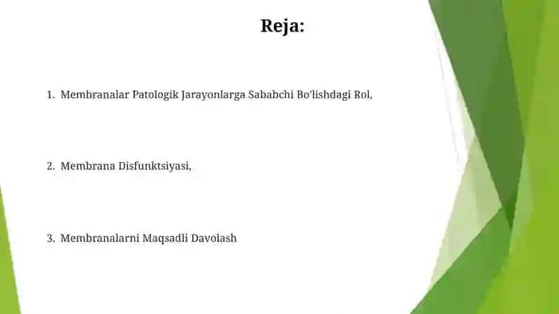 Membranalar Buzilishlarni Patalogik Jarayonni Kelib Chishidagi O'Rni 2