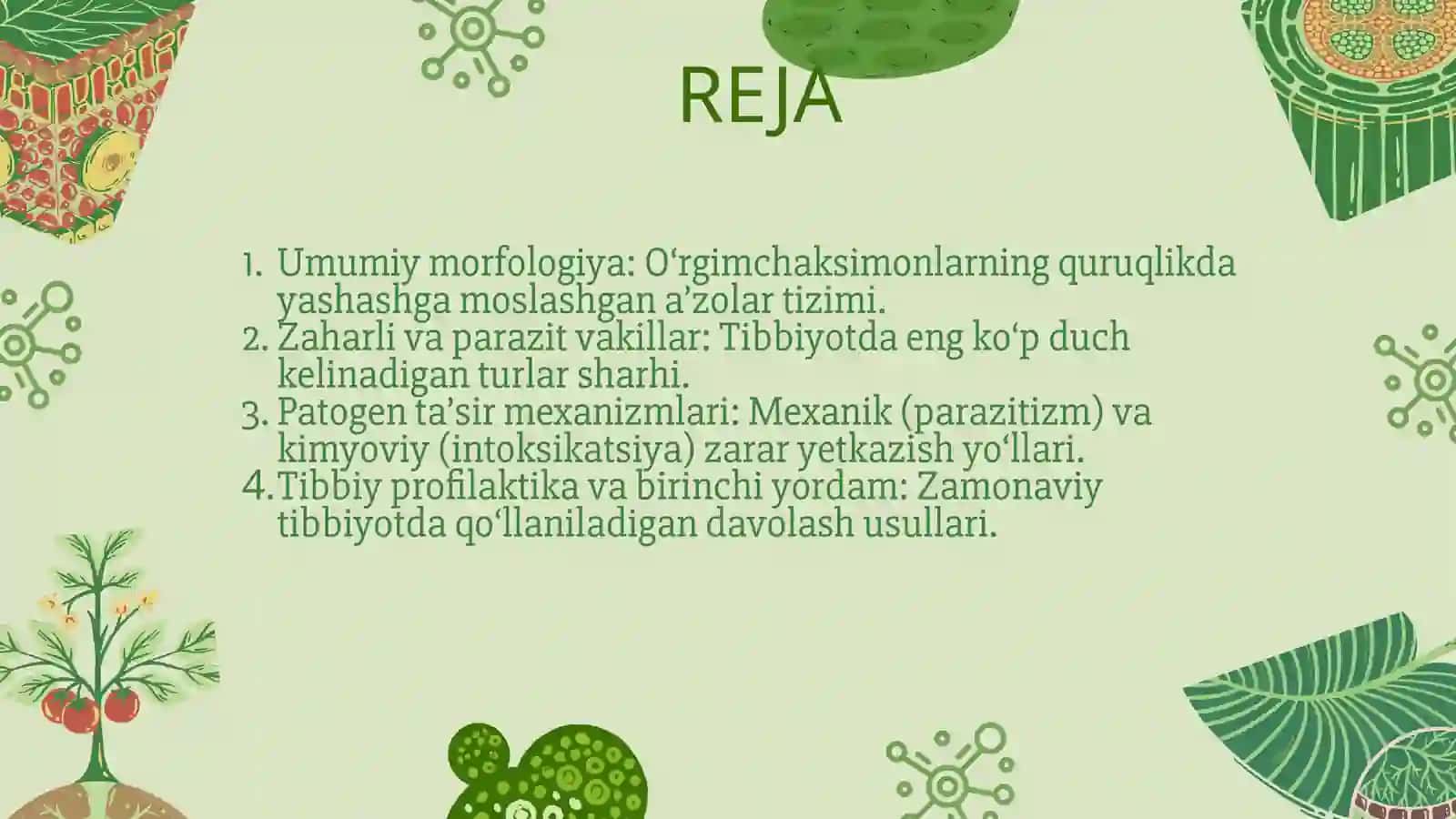 O'RGIMCHAKSIMONLAR OILASI 2