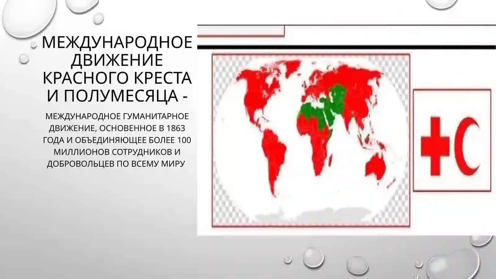 Международное движение Красного креста и Полумесяца 2