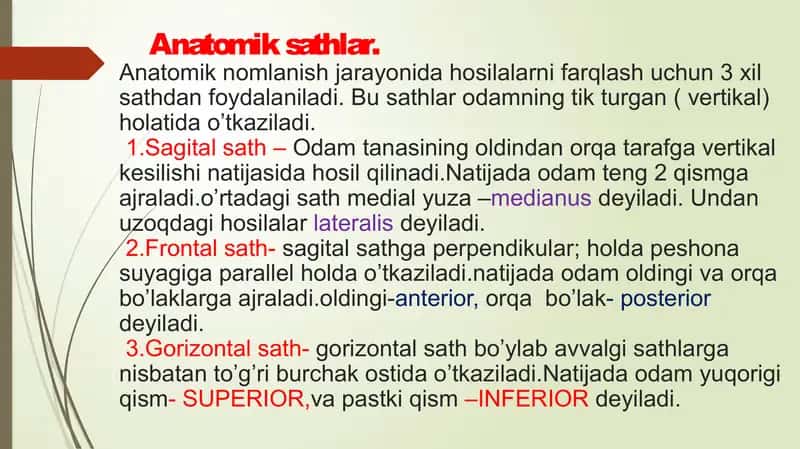 Anatomik sathlar.Umumiy osteologiya.Bo’yin va ko’krak ,bel, dumg’aza va dum umurtqalari.Qovurg’a va to’sh suyagi 2