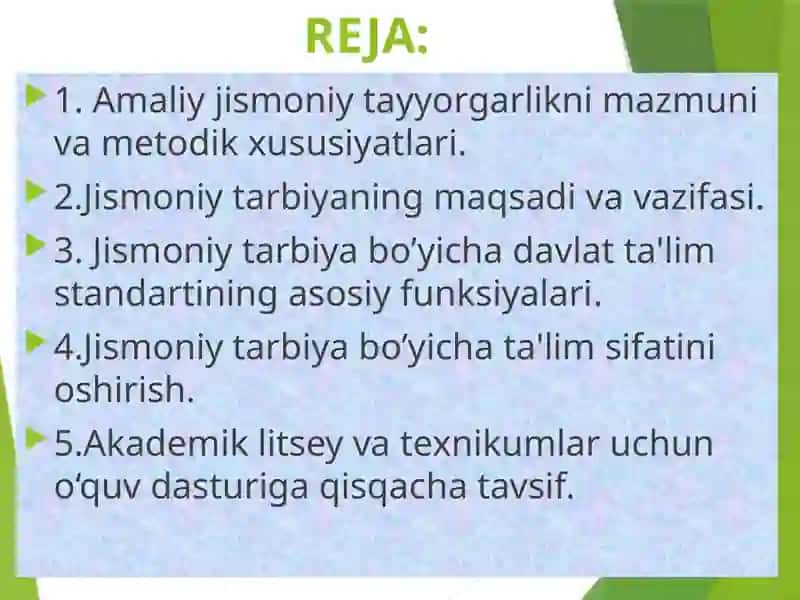 Akademik litsey va professional ta’limda jismoniy tarbiya darslarini tashkil qilish usullari 2