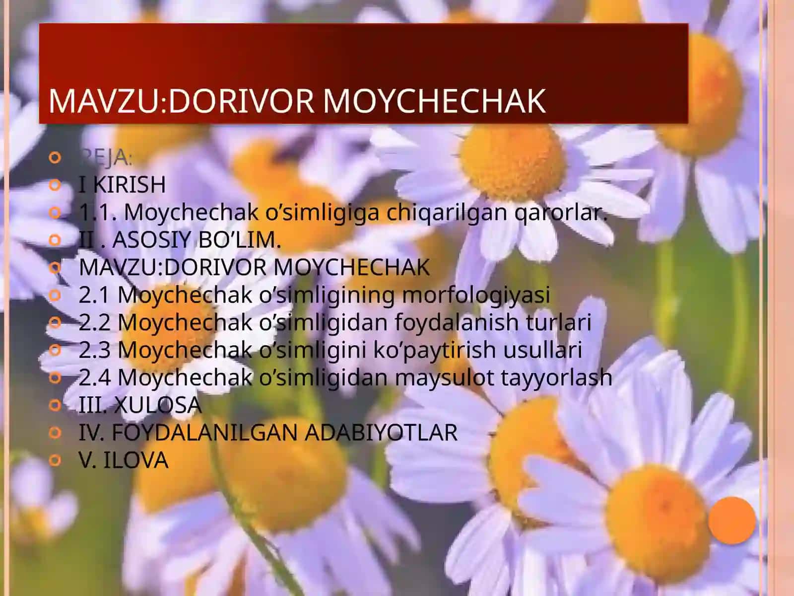 DORIVOR O’SIMLIKLAR YETISHTIRISH VA QAYTA ISHLASH TA’LIM YO’NALISHI308-TOSHBOYEVA MASTURANINGDORIVOR O’SIMLIKLAR URUG’CHILIGI VA KO’CHATCHILIGI FANIDAN TAYYORLAGAN KURS ISHI 2