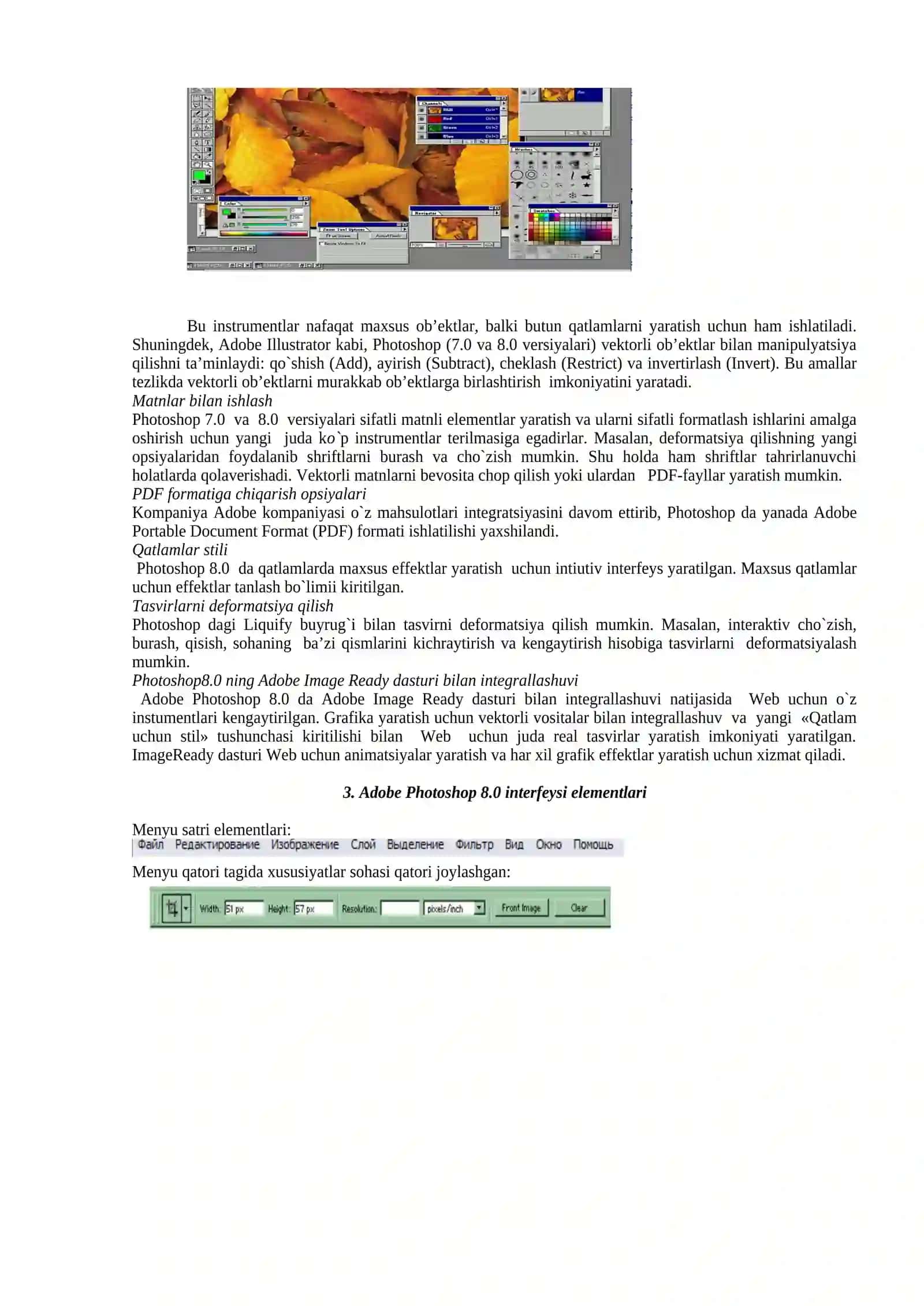 Adobe Photoshop 2
