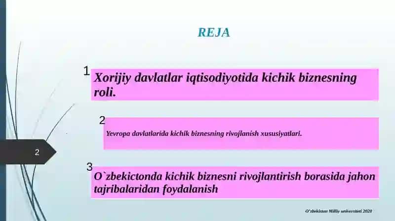 Biznes va tadbirkorlikni rivojlantirishning xorijiy mamlakatlar tajribasi 2