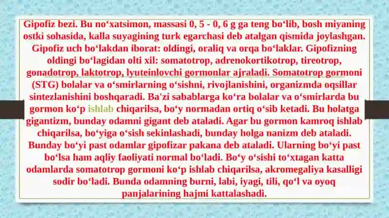 Endokrin bezlari 2