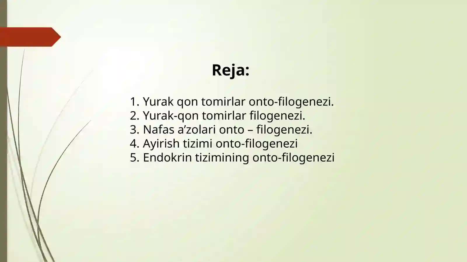 Organlar sistemasi onto-filogenezi: qon aylanish, nafas olish, endokrin, ayirish sistemasi 2